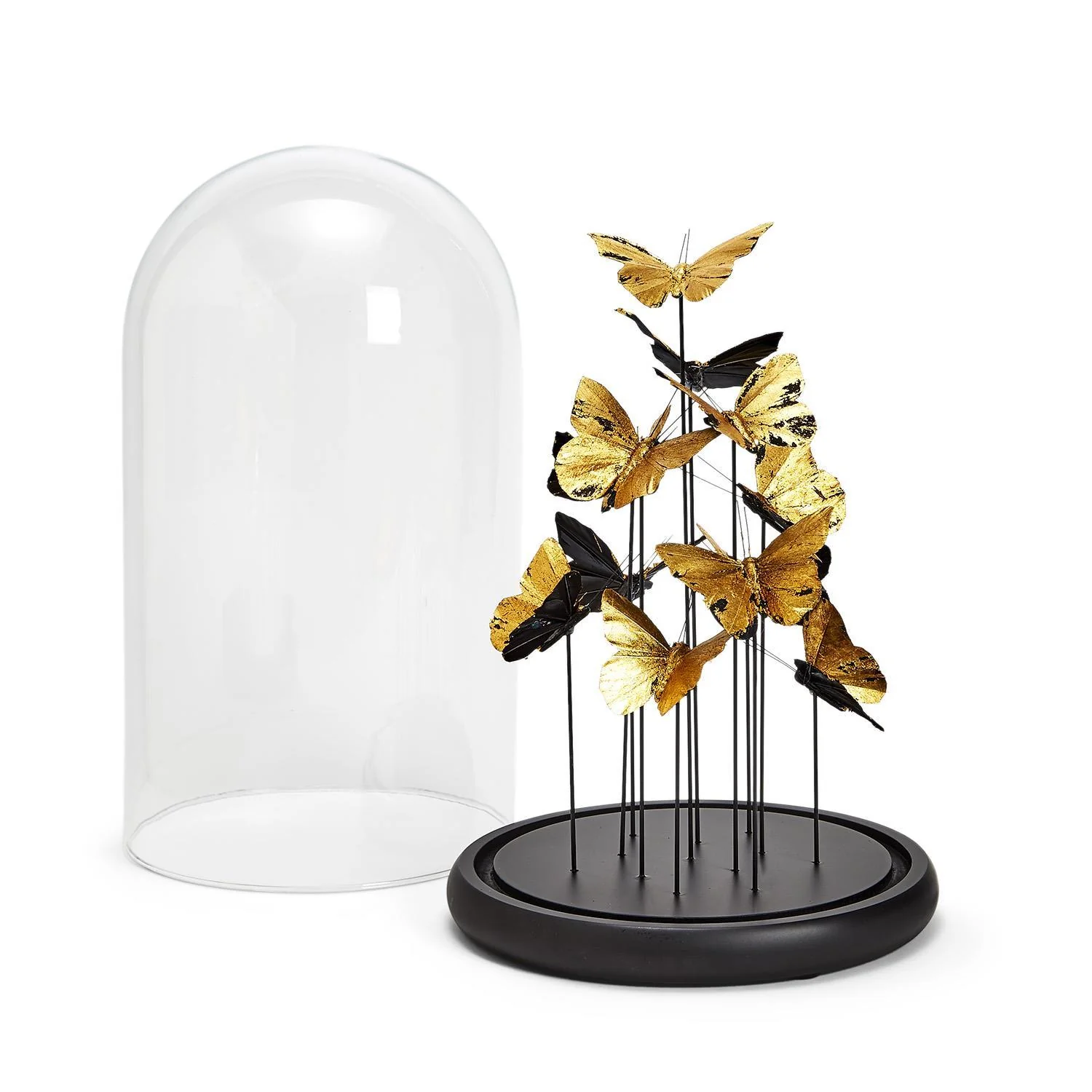 Golden Butterflies in Dome Set Of 4 By Tozai Home - Image 2