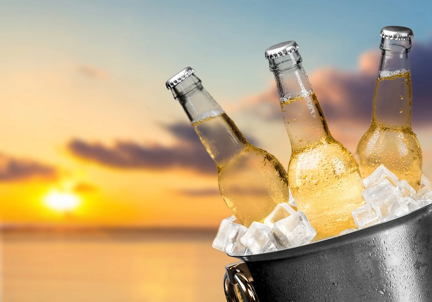 Grand Cru Classe Wine Cooler By Homeroots - Image 8