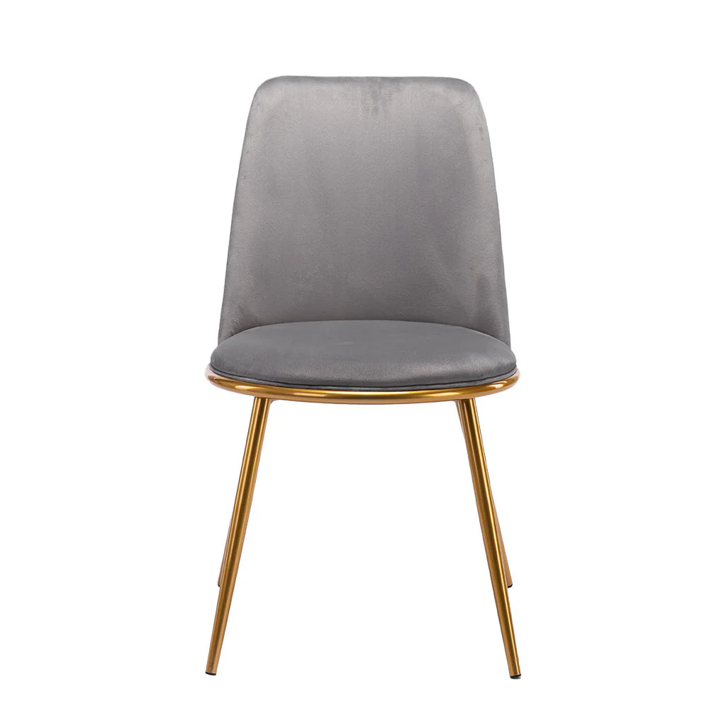 Gray And Gold Upholstered Velvet Dining Side Chair By Homeroots - Image 6