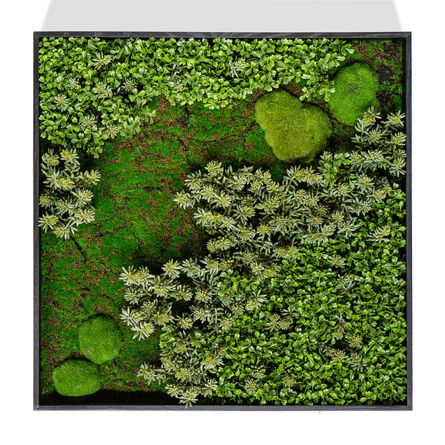 Green Wall, "Essex Mix 1" By Gold Leaf Design Group - Image 7