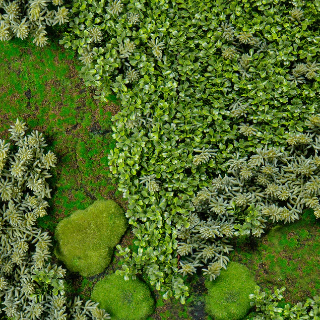 Green Wall, 'Essex Mix 2', Nat By Gold Leaf Design Group - Image 4