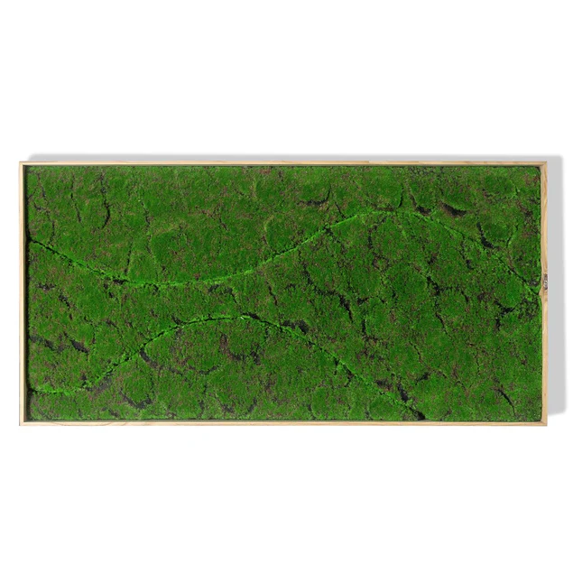 Green Wall, "New Wave B" By Gold Leaf Design Group - Image 6