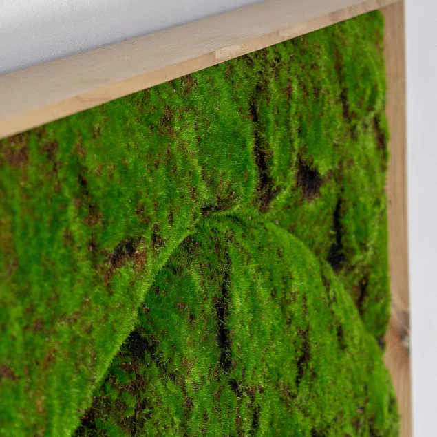 Green Wall, "New Wave B" By Gold Leaf Design Group - Image 8