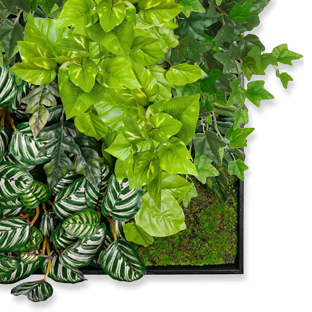 Green Wall, Pothos Mix By Gold Leaf Design Group - Image 3