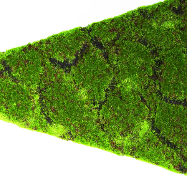 Green Wall, Strip 24.5"L "New By Gold Leaf Design Group - Image 11