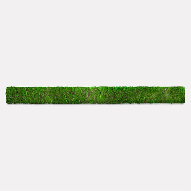 Green Wall, Strip 24.5"L "New By Gold Leaf Design Group - Image 12