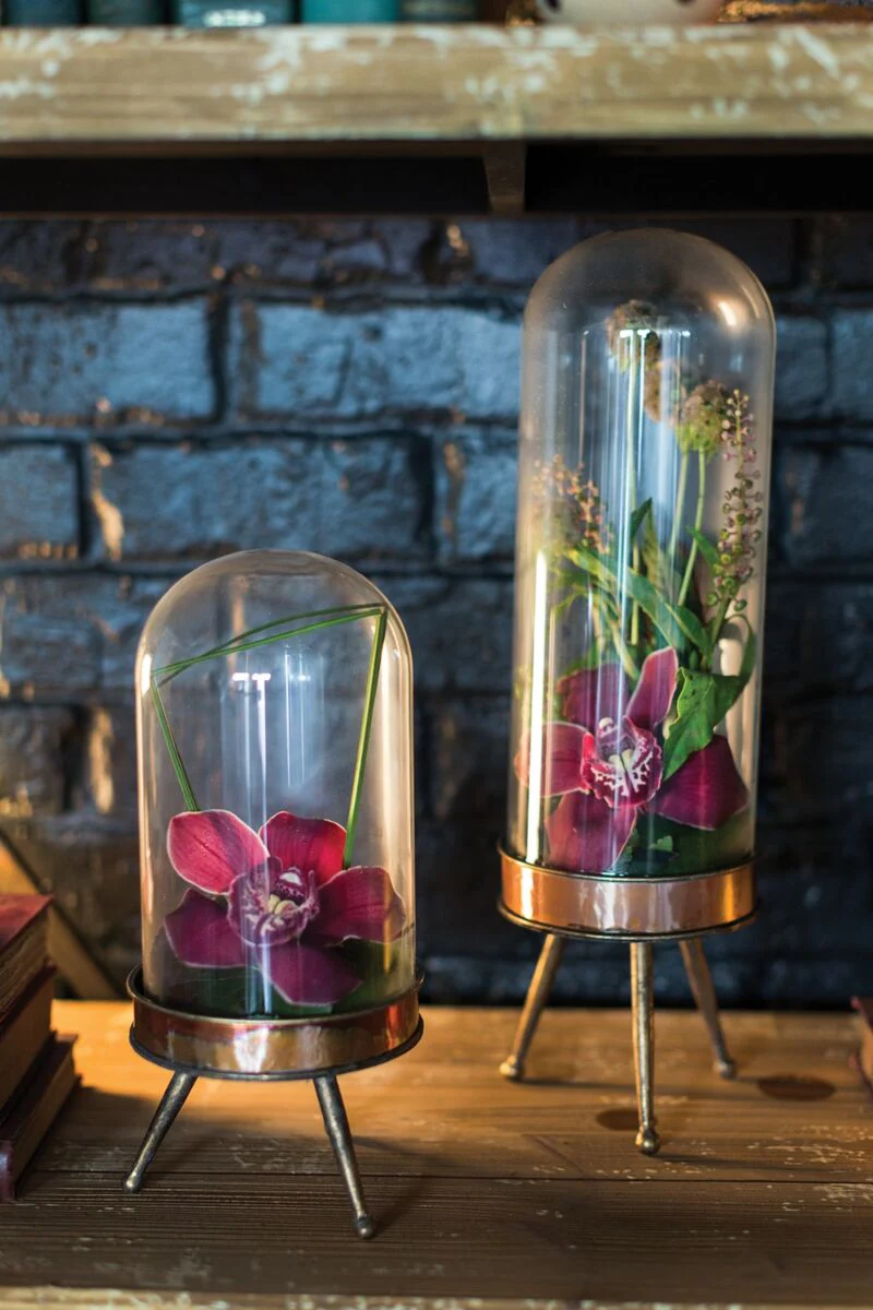 Historic Cloche Stand 5"x 10.75" By Accent Decor - Image 4