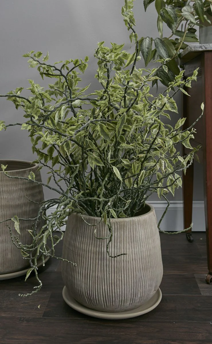 Holt Pot By Accent Decor - Image 5