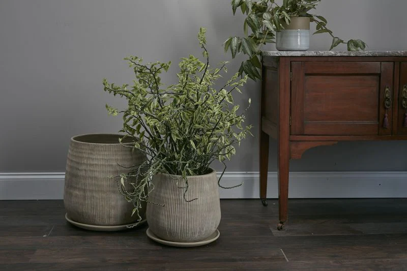 Holt Pot By Accent Decor - Image 7