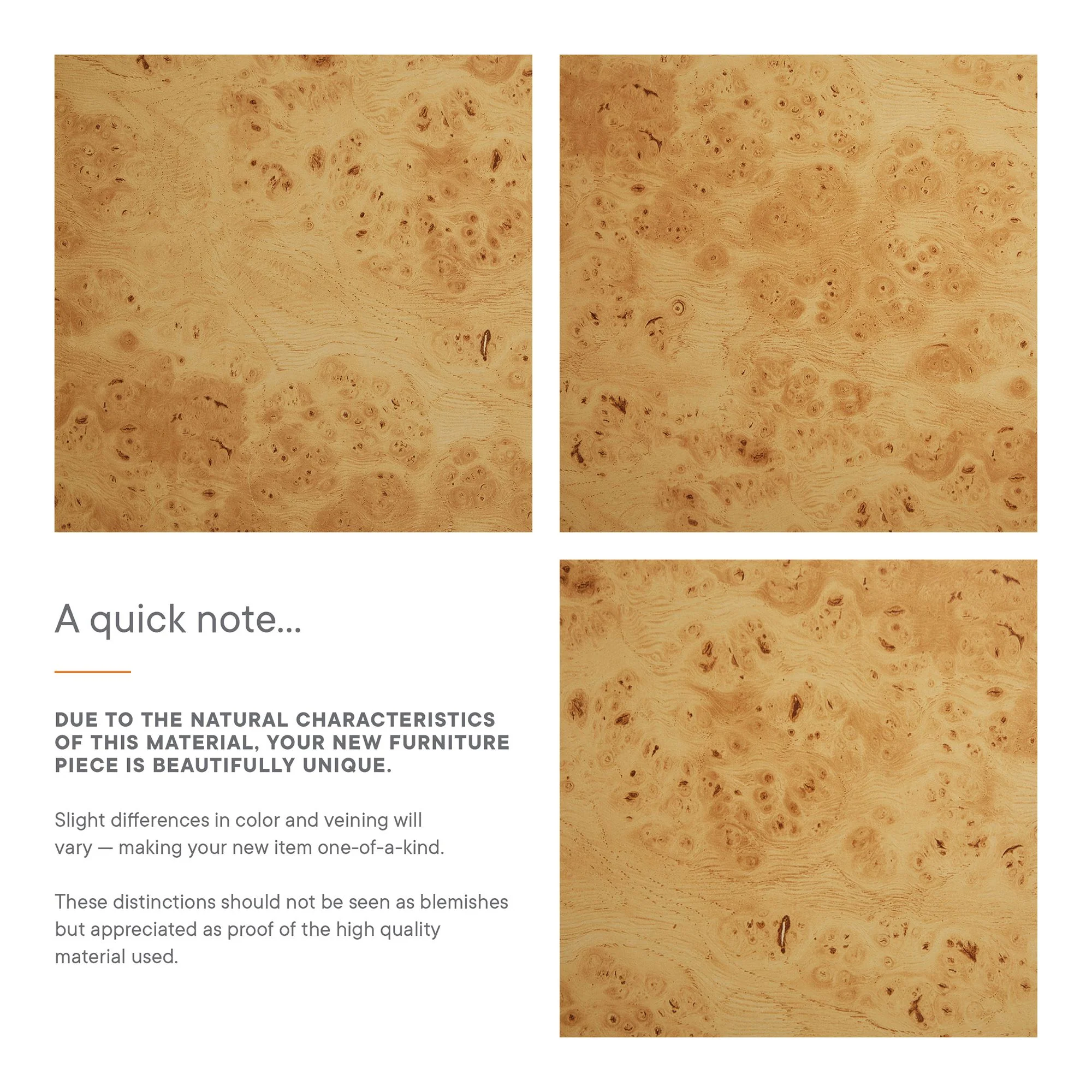 Hudson 40" Burl Wood Sideboard by Modway - Image 9