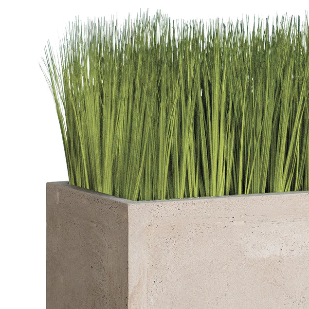 Grass: Japanese Grass In Urbano Rectangle Planter, Lg By Gold Leaf Design Group - Image 2