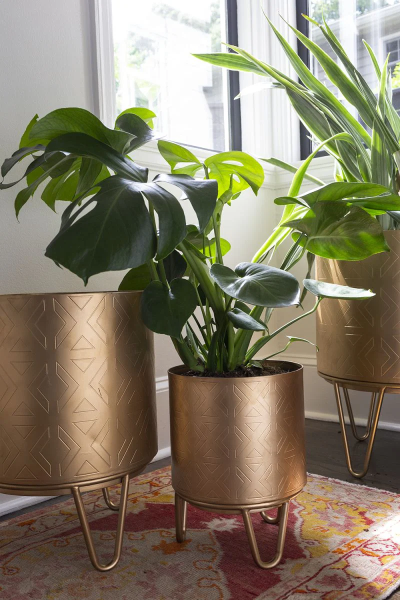 Juneau Pot Collection By Accent Decor - Image 10