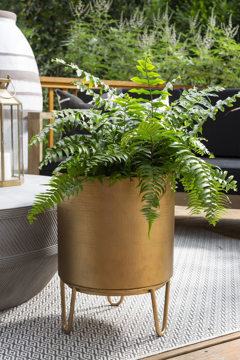 Juneau Pot Collection By Accent Decor - Image 15