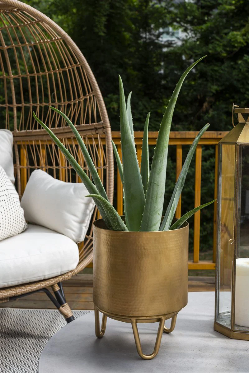 Juneau Pot Collection By Accent Decor - Image 2