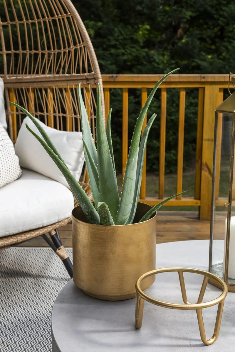 Juneau Pot Collection By Accent Decor - Image 5