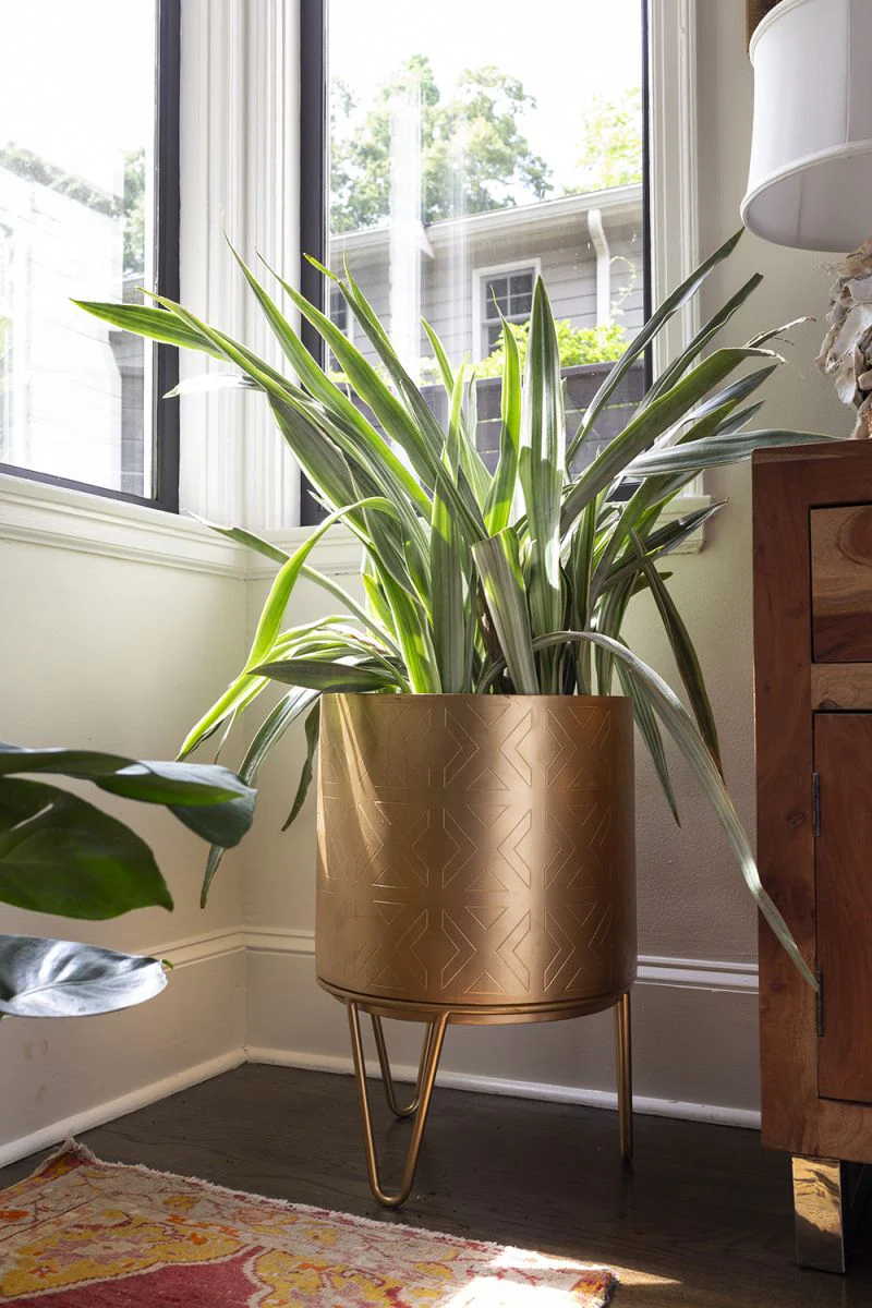 Juneau Pot Collection By Accent Decor - Image 6