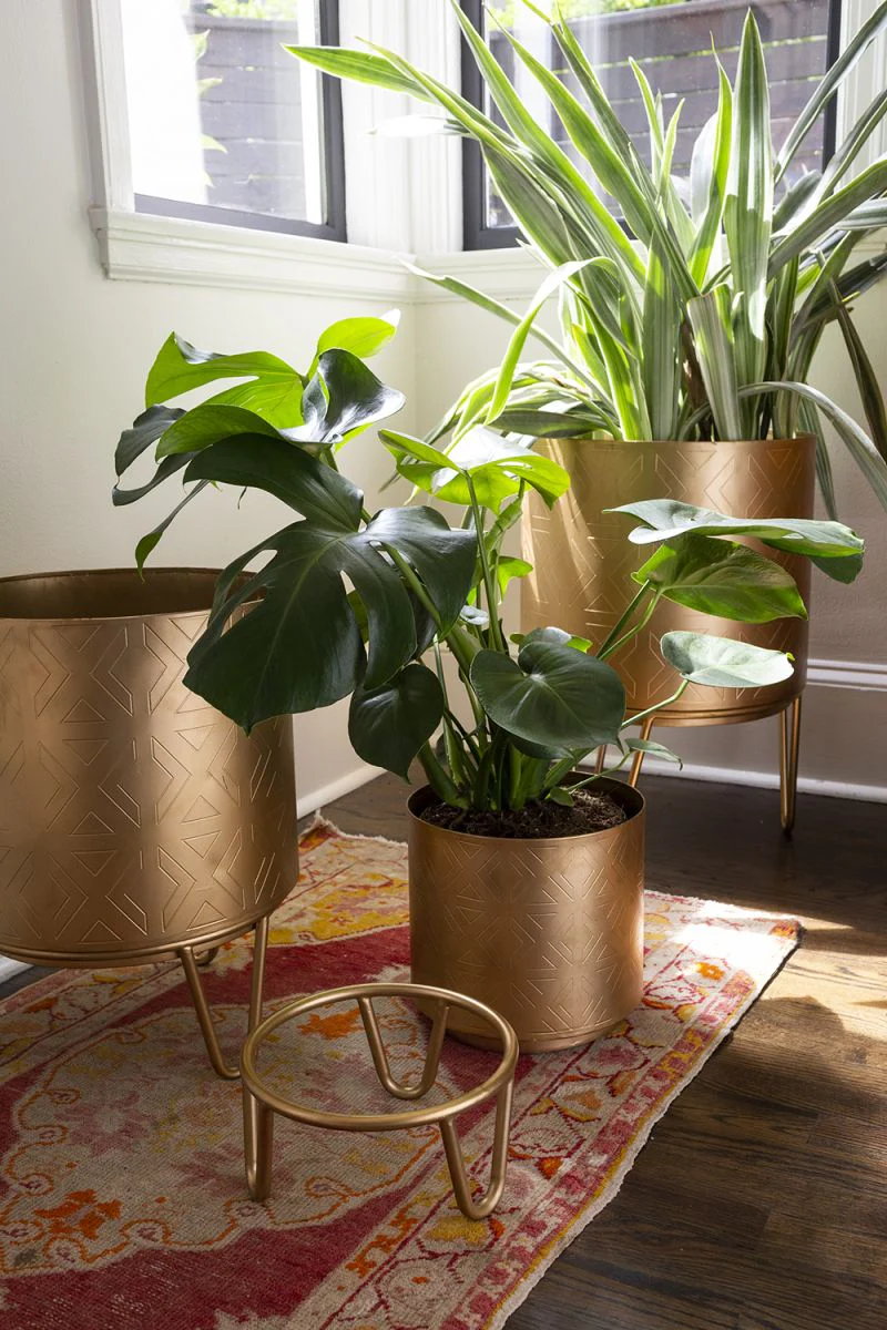 Juneau Pot Collection By Accent Decor - Image 9