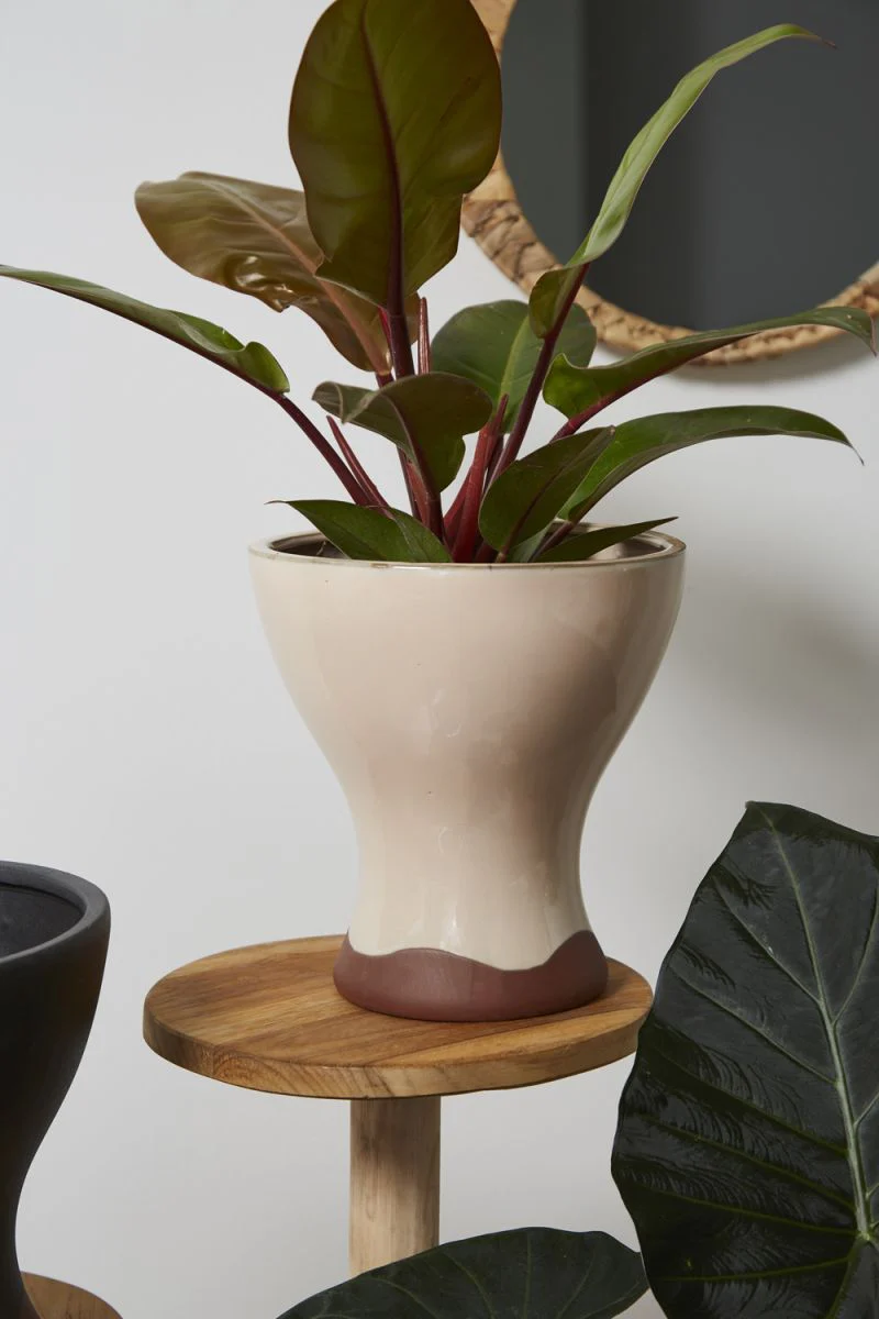 Kanako Pot Set Of 4 By Accent Decor - Image 5