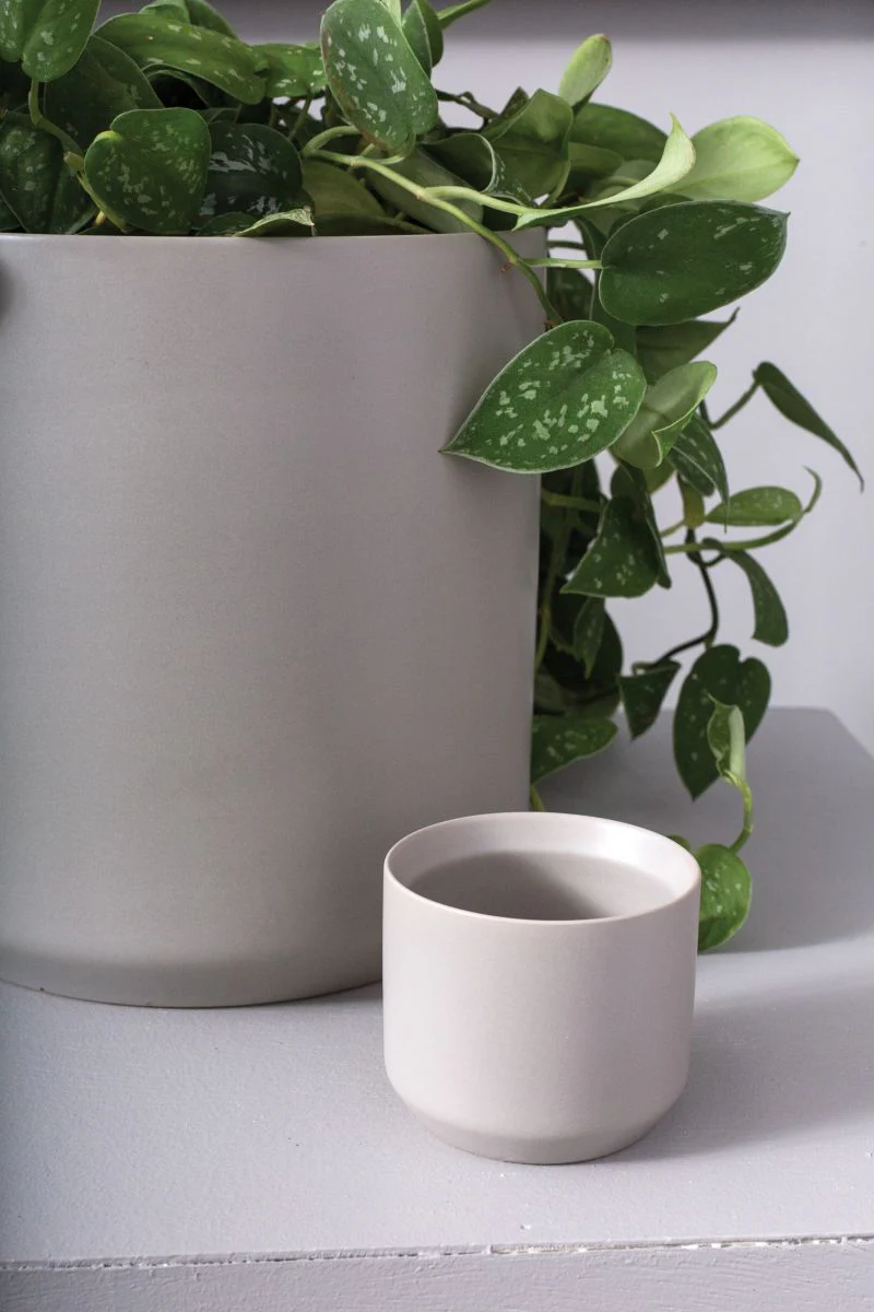 Kendall Collection 3.25"x 2.75" Pot Set of 6 By Accent Decor - Image 2