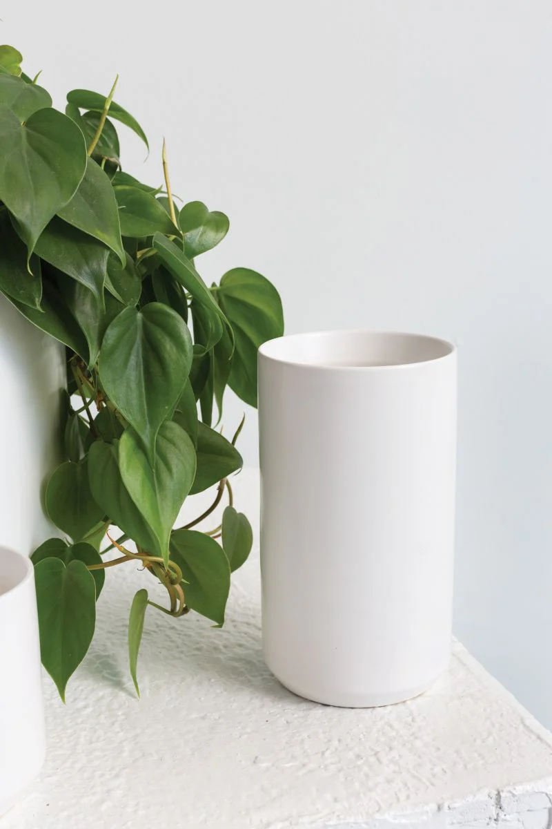 Kendall Collection 4.5"x 8" Vases Set Of 4 By Accent Decor - Image 4