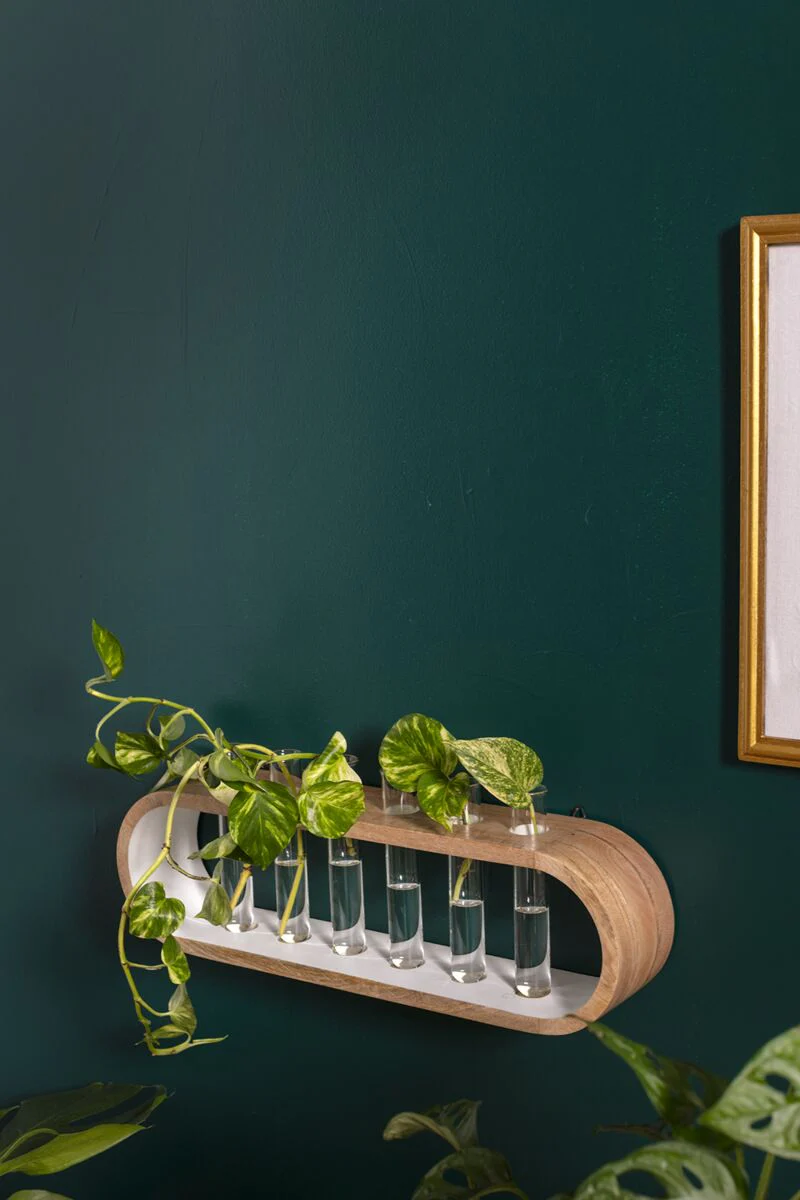 Kennedy Propagation Stand By Accent Decor - Image 3