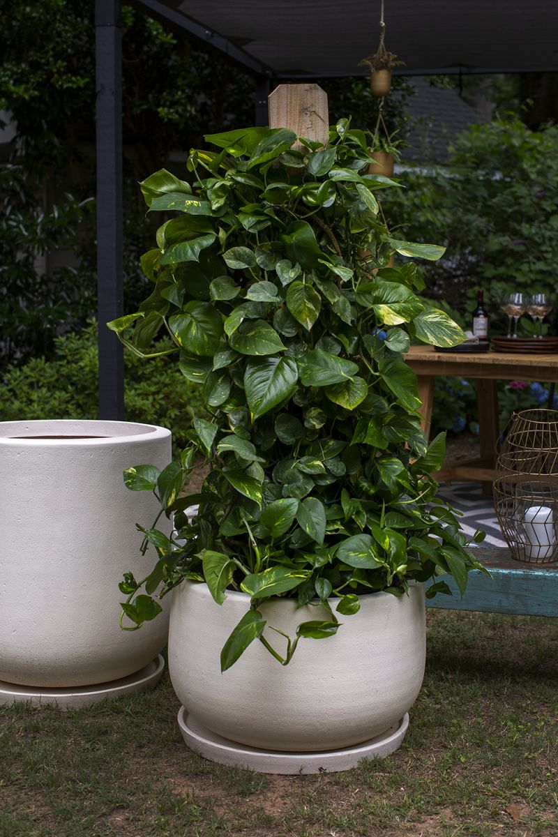Kodiak Planter By Accent Decor - Image 8