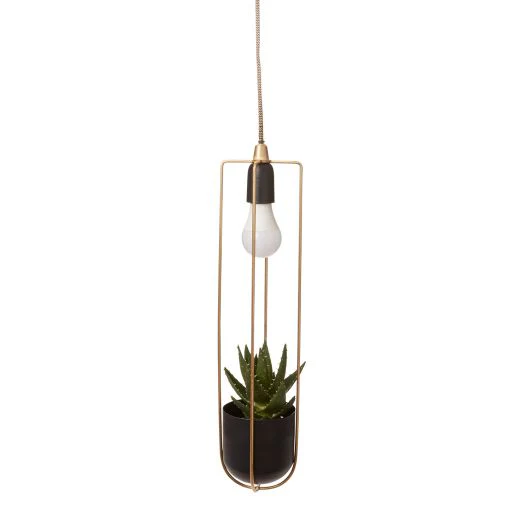 Kol Acrobatic Hanging Planter with Spot Light By Accent Decor - Image 3