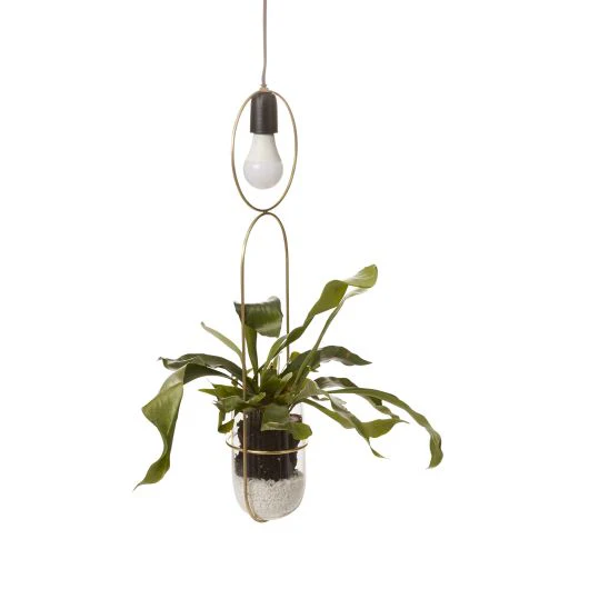 Kol Acrobatic Hanging Planter with Spot Light By Accent Decor - Image 6