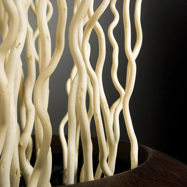 Kuwa Branch 5-6'L bleached Set Of 15 By Gold Leaf Design Group - Image 2