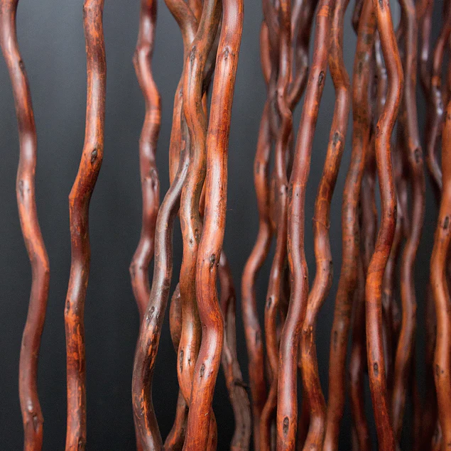 Kuwa Branch 5-6'L brown Set Of 15 By Gold Leaf Design Group - Image 2