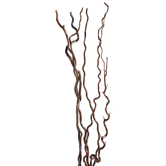 Kuwa Branch 5-6'L brown Set Of 15 By Gold Leaf Design Group - Image 3