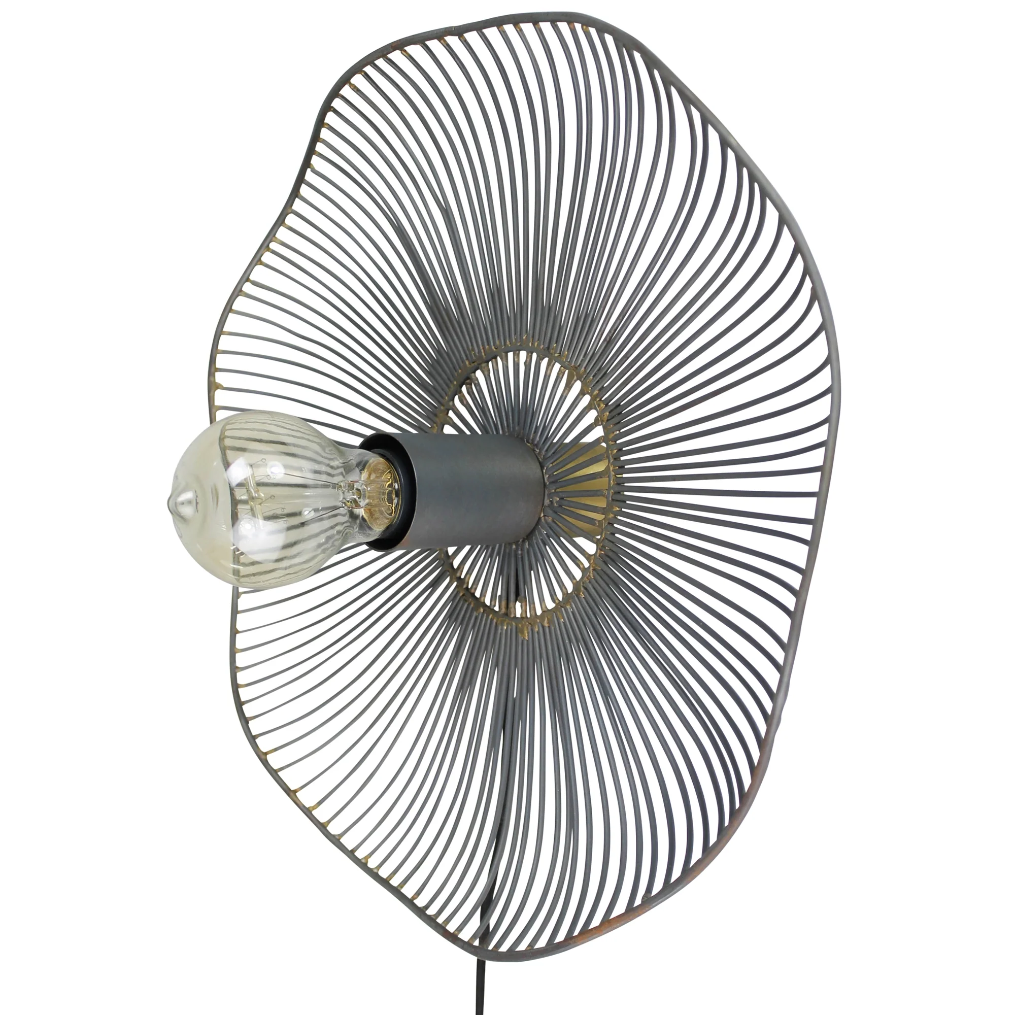 Lambert Wall Lamp, Iron By HomArt - Image 3