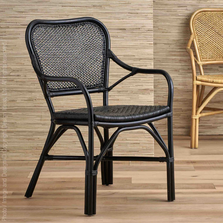 Lanai Chair-Black By Texture Designideas - Image 2