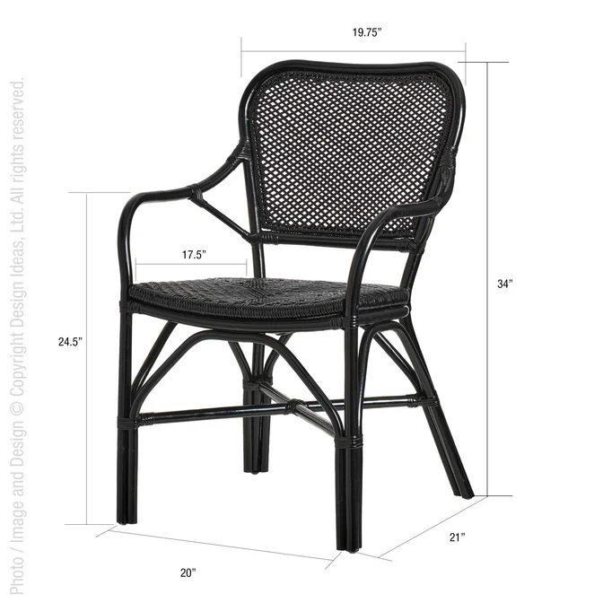 Lanai Chair-Black By Texture Designideas - Image 3