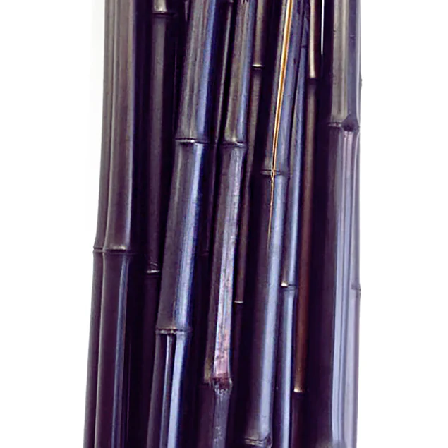 LC Bamboo Pole 7'H x 2D brown Set Of 12 By Gold Leaf Design Group - Image 2