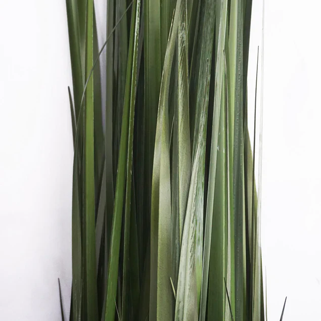 LC Cane 65"H Grass Potted By Gold Leaf Design Group - Image 2