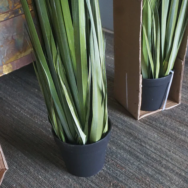 LC Cane 65"H Grass Potted By Gold Leaf Design Group - Image 5