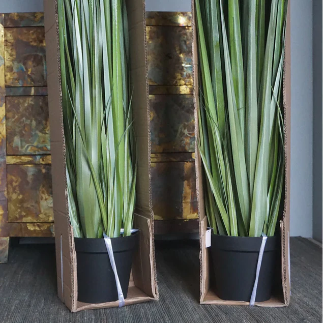 LC Cane 65"H Grass Potted By Gold Leaf Design Group - Image 6