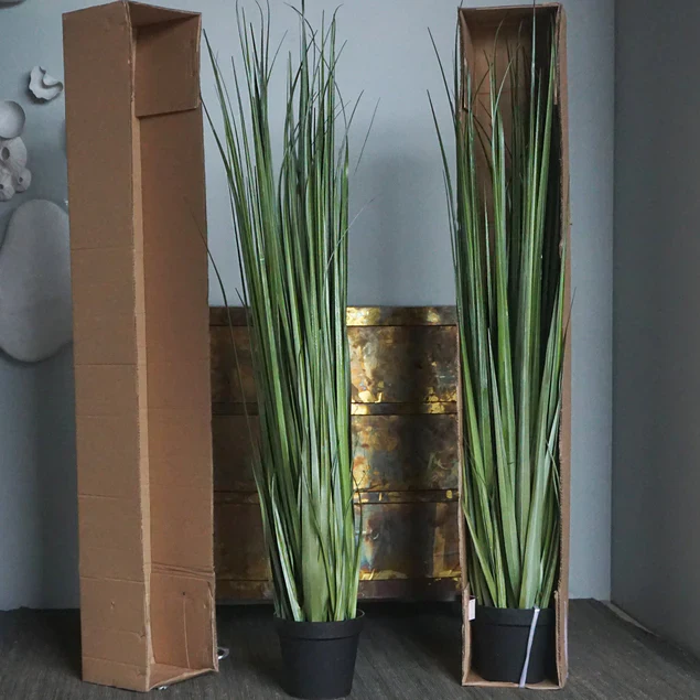 LC Cane 65"H Grass Potted By Gold Leaf Design Group - Image 7