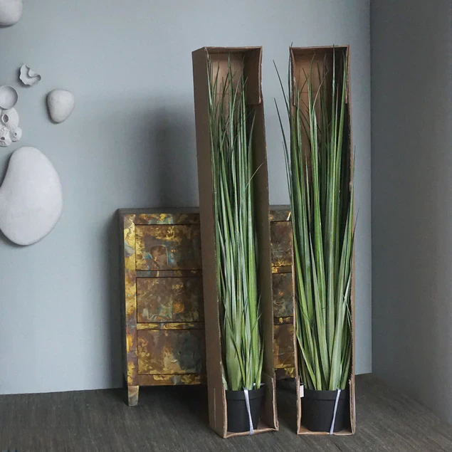 LC Cane 65"H Grass Potted By Gold Leaf Design Group - Image 9