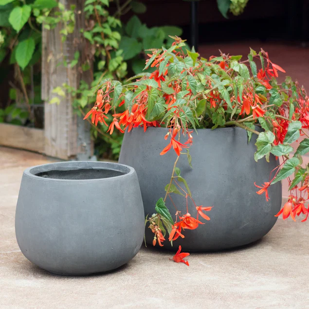 LC Puddle Planter  Large Grey, 14. By Gold Leaf Design Group - Image 5