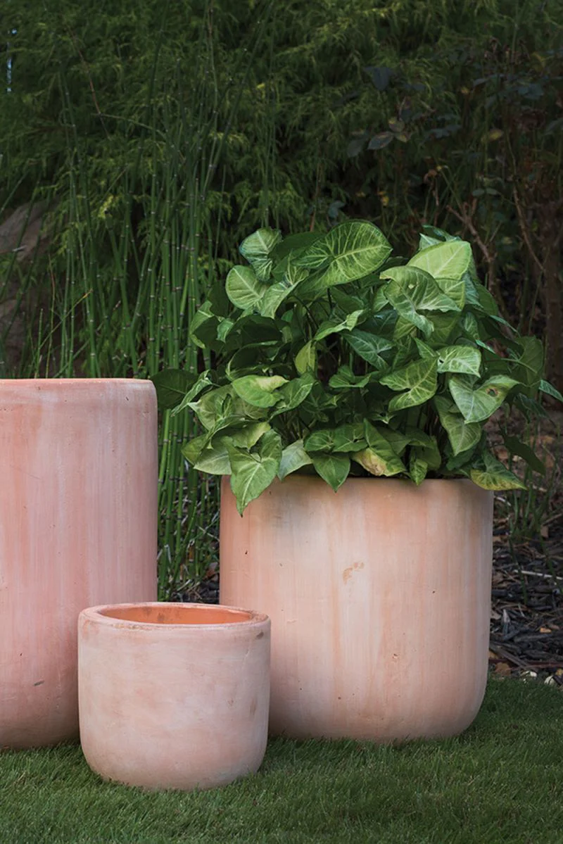 Lerato Pot By Accent Decor - Image 4