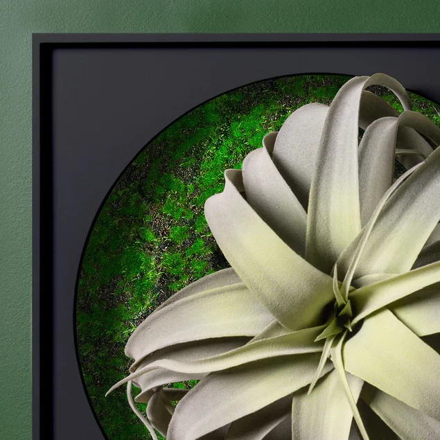 Mini Green Wall, Xerographica By Gold Leaf Design Group - Image 6