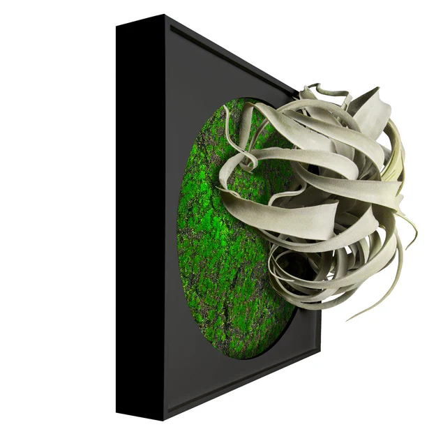 Mini Green Wall, Xerographica By Gold Leaf Design Group - Image 7