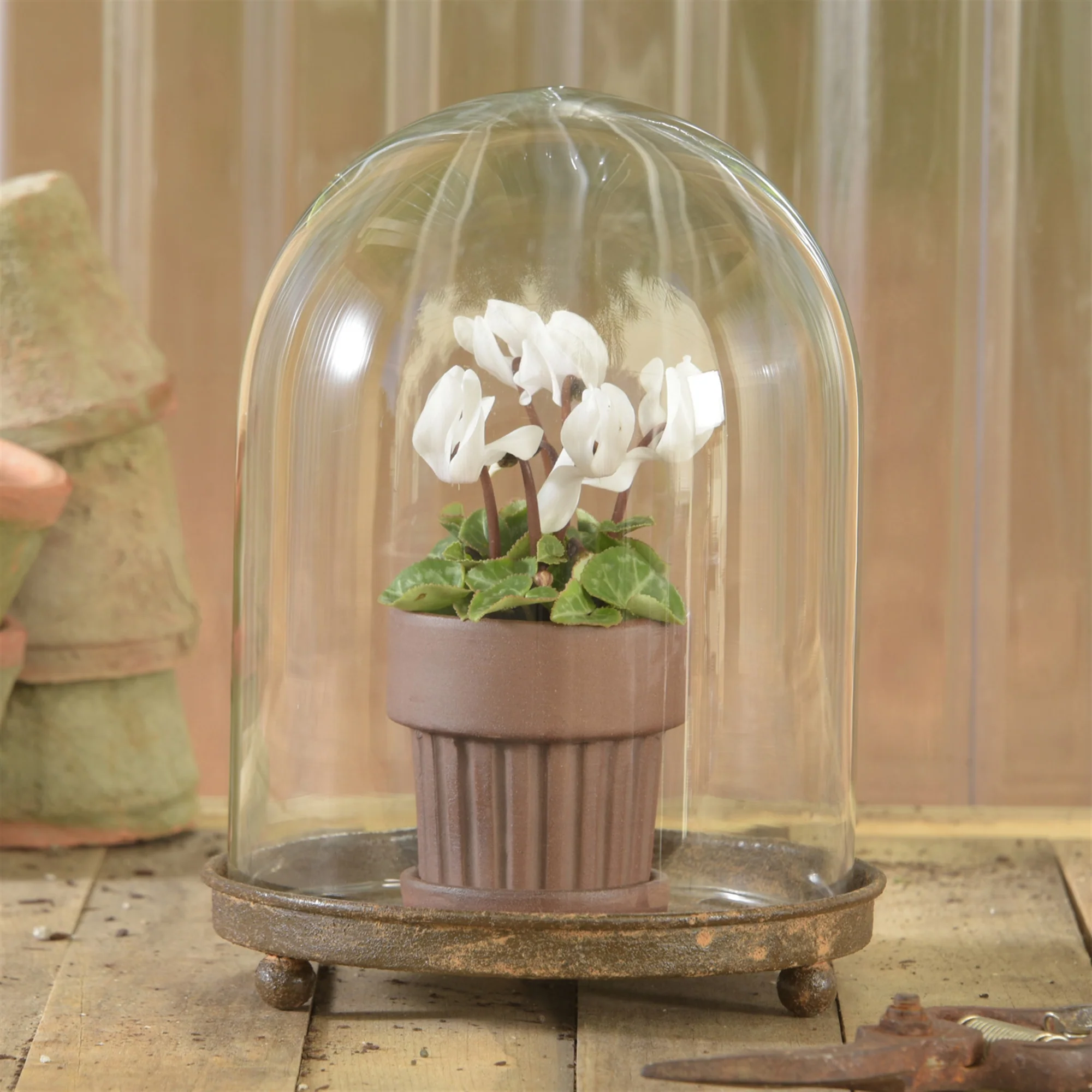 Mirabelle Vitrine, Glass & Metal Set Of 2 By HomArt - Image 3