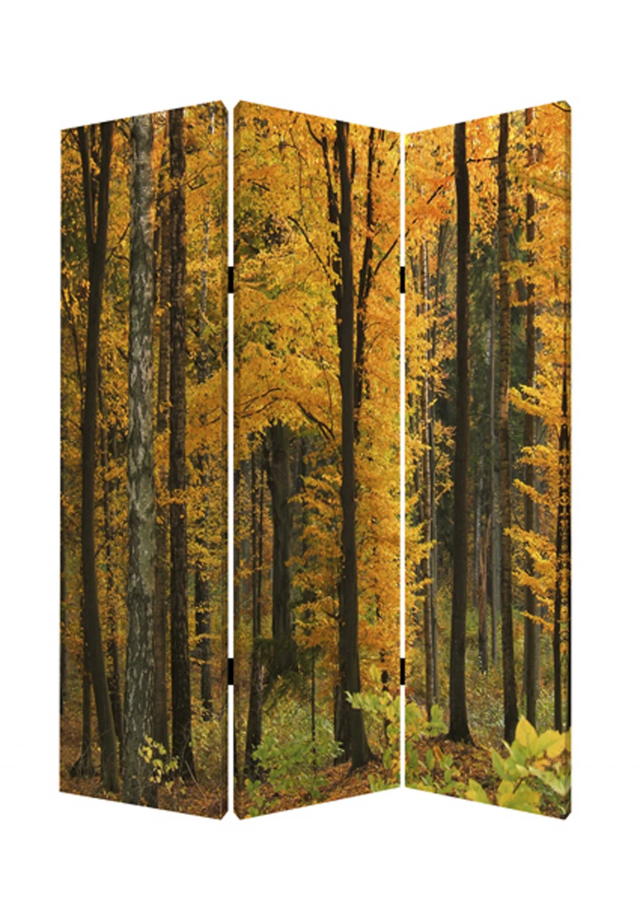 Multi Color Wood Canvas Autumn Journey Screen By Homeroots - Image 2