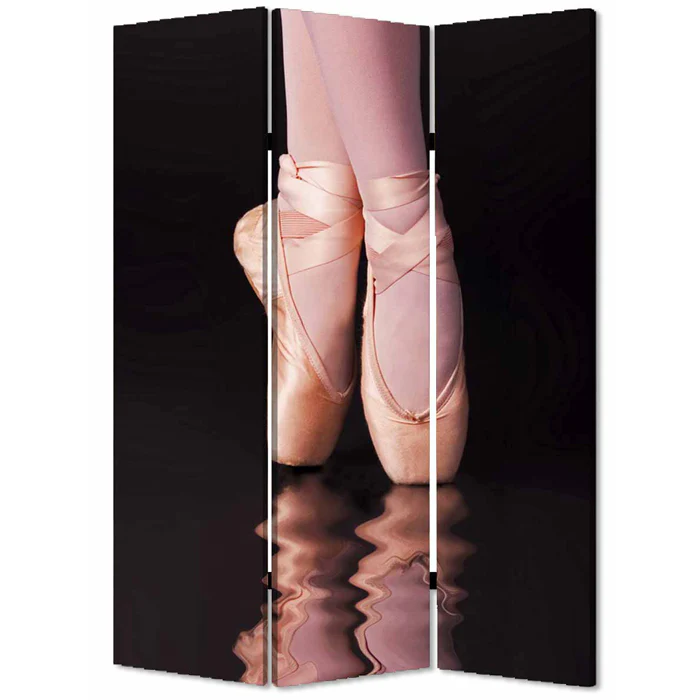 Multi Color Wood Canvas Ballet Screen By Homeroots - Image 2