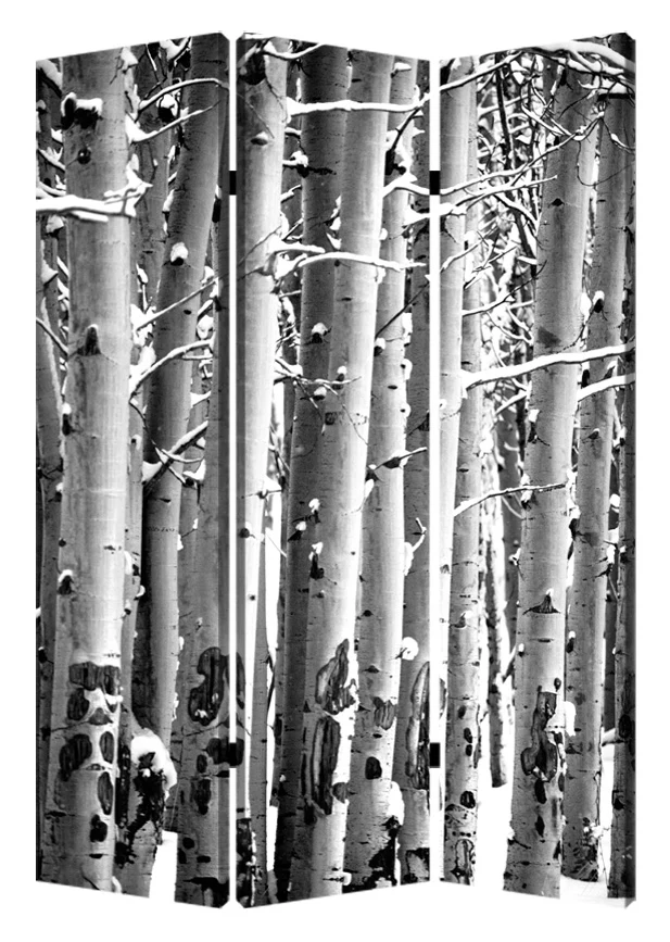Multi Color Wood Canvas Birch Screen By Homeroots - Image 2