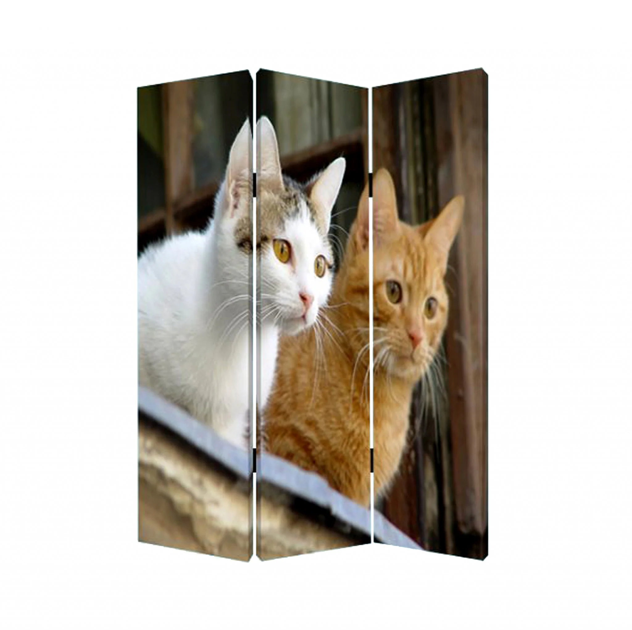 Multi Color Wood Canvas Curious Cat Screen By Homeroots - Image 2