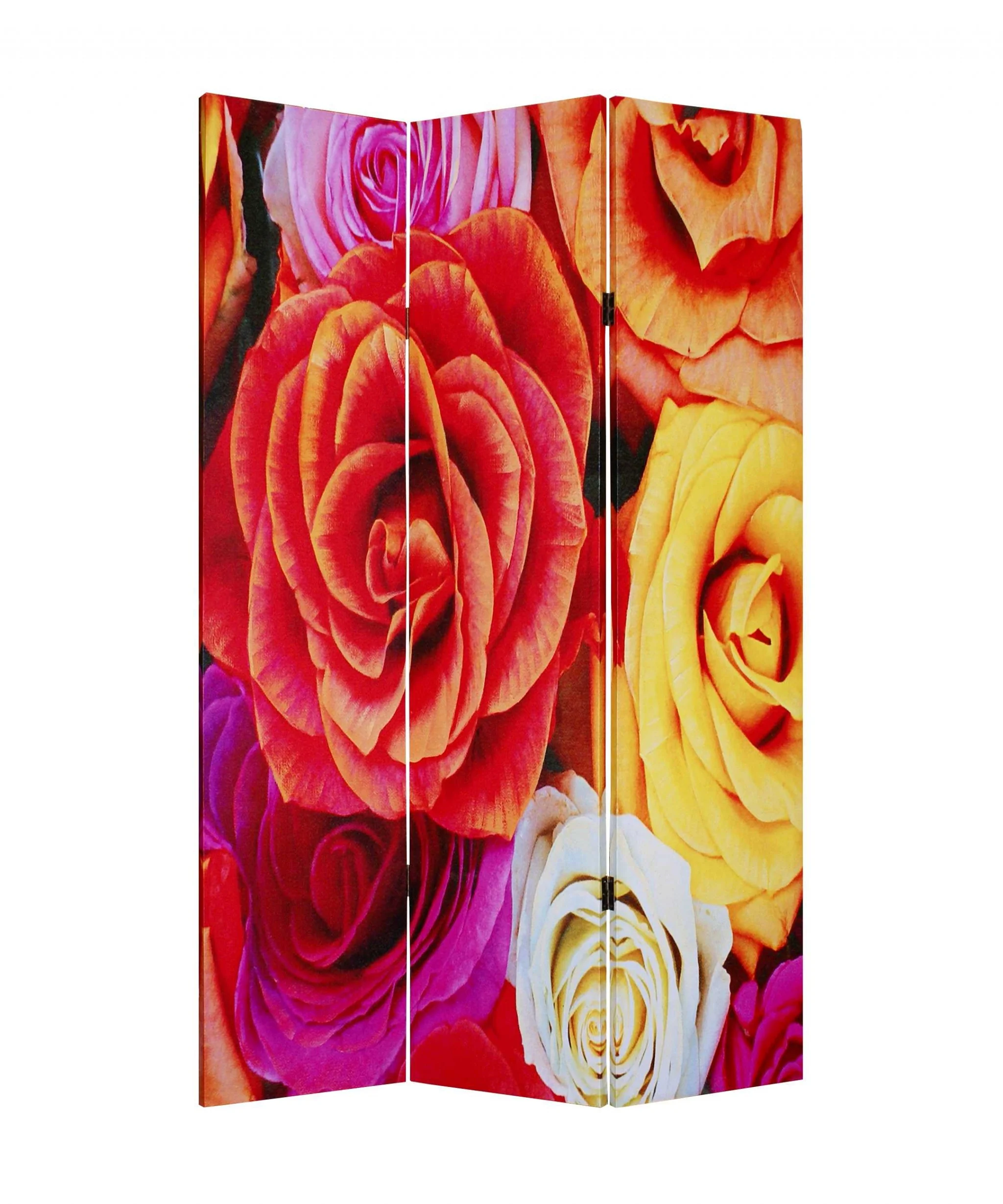Multi Color Wood Canvas Daisy And Rose Screen By Homeroots - Image 2